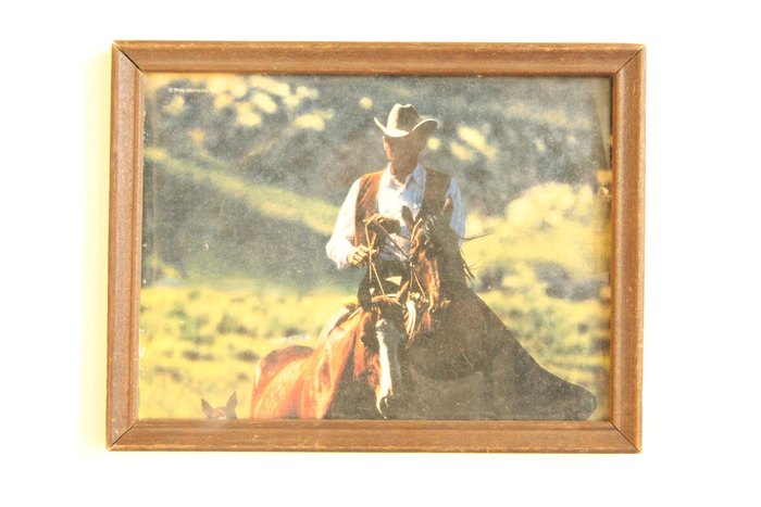 (Untitled) Cowboy Prince Richard